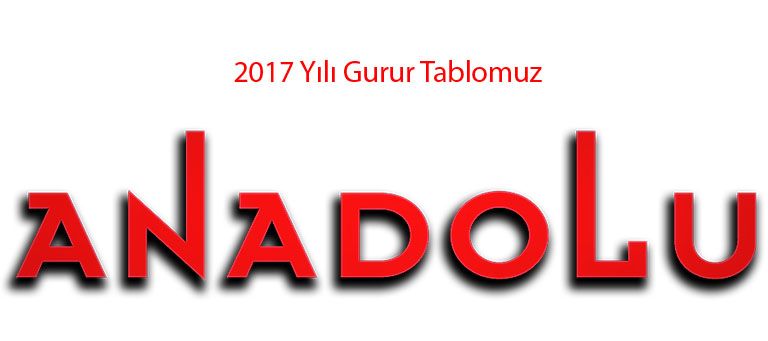 2017 Yılı Anadolu Güzel Sanatlarda Üniversiteyi Kazanan Öğrencilerimiz Adana