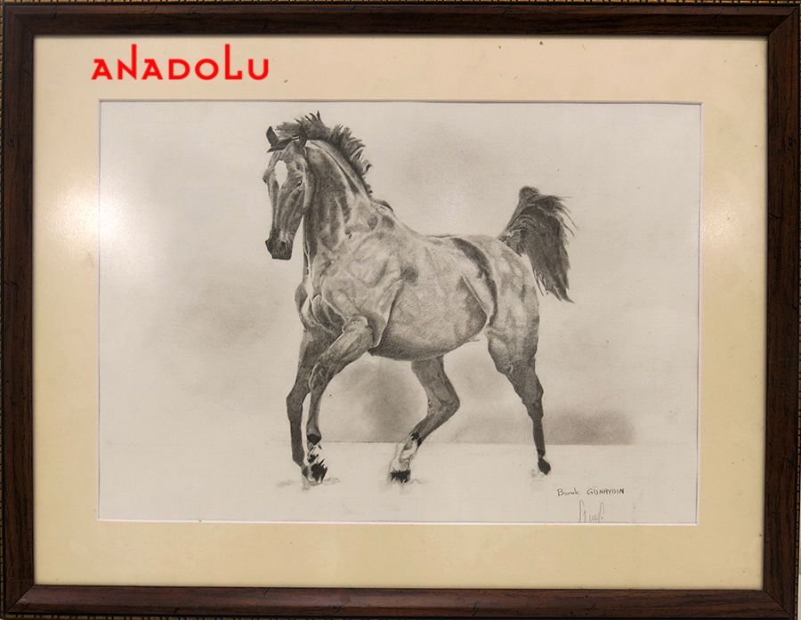 Karakalem At Resmi Çizin Kişiler Adana