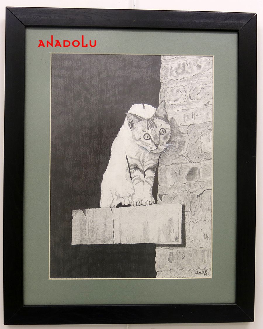 Anadolu Çizim Dersleri Adana