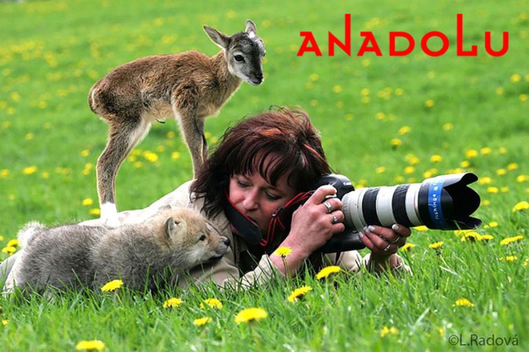 Adana Doğa Fotoğrafı Çekimleri